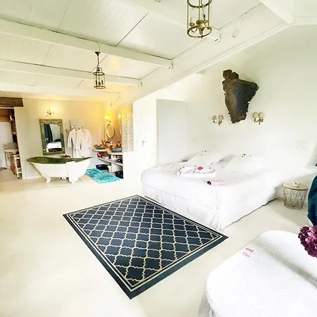 Loft De La Sirene Grande Piscine Privee Willa *